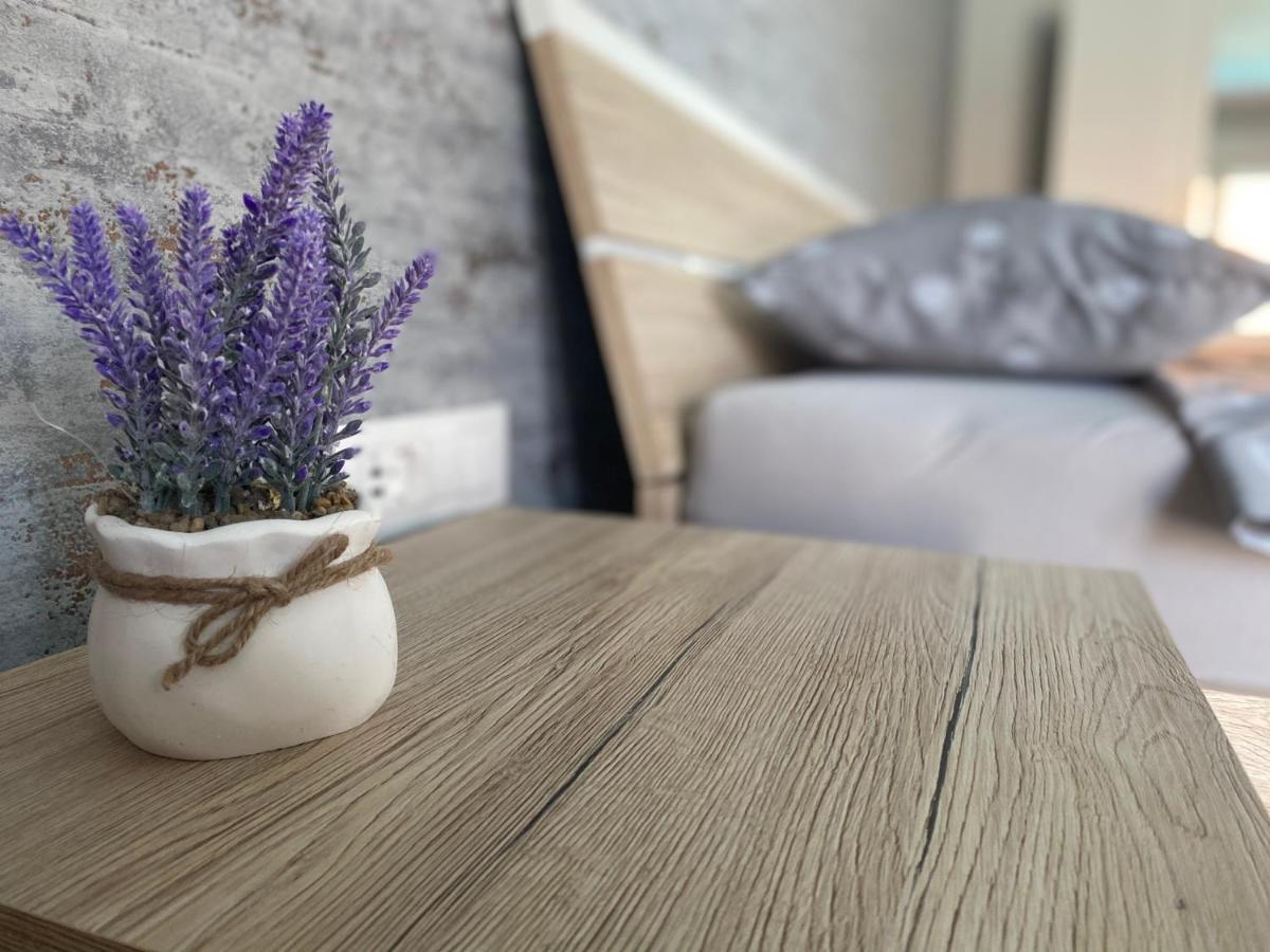 Villa Maleo Medulin Eksteriør billede